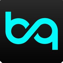 Profile picture for Banqi Team
