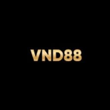 Profile picture for VND88