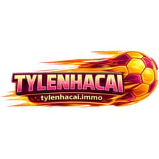 Profile picture for tylenhacai immo