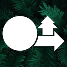 Profile picture for Be Green AI