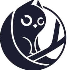 Profile picture for Owlcat Games