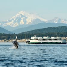 Profile picture for Washington State Ferries