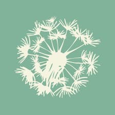 Profile picture for Dandelion House