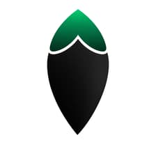 Profile picture for Rokdove .