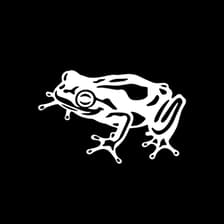 Profile picture for frog Design