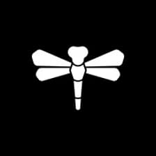 Profile picture for Dragonfly .