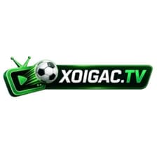 Profile picture for xoigac tv