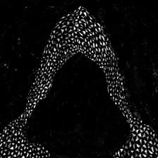 Profile picture for Rupture