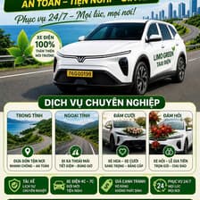Profile picture for Taxi Điện Quảng Ngãi