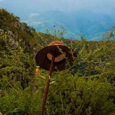Profile picture for Al Monte Hike
