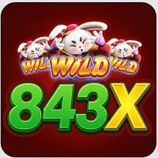 Profile picture for 843x org
