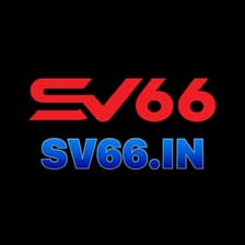 Profile picture for sv66 in