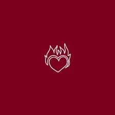 Profile picture for Twin Flames Germany