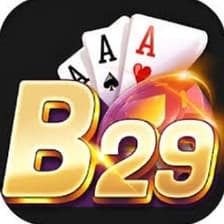 Profile picture for b29 skin