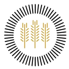 Profile picture for Midwest Film Festival