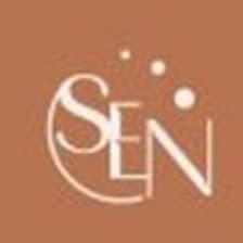 Profile picture for The Social Exective Network