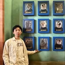 Profile picture for Tong Xie