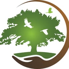Profile picture for Earth Discovery