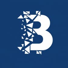 Profile picture for Blockchain Life