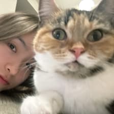 Profile picture for Feifan Zheng