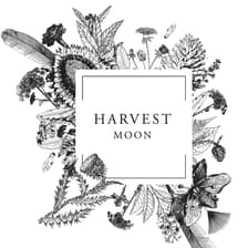 Profile picture for Harvestmoon Boutique