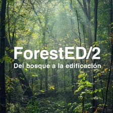 Profile picture for Forested 2.0