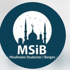Profile picture for Msib msib