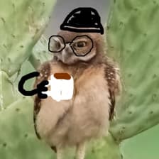 Profile picture for Molly Sheffer