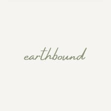 Profile picture for Earthbound Guidance