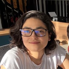 Profile picture for Salma Pinell