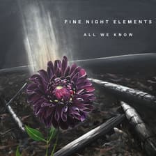 Profile picture for Fine Night Elements