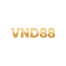 Profile picture for VND88