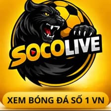 Profile picture for Socolive1 cam