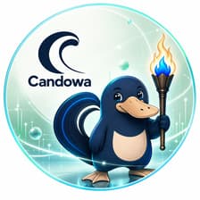 Profile picture for Candowa Team