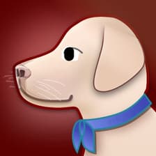 Profile picture for zumu