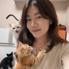 Profile picture for Angela Chen