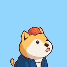Profile picture for Kim David
