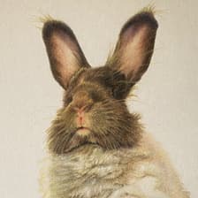 Profile picture for Mr Barrington