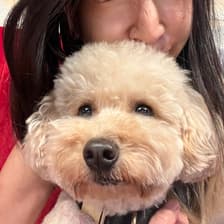 Profile picture for Nhi Nguyen