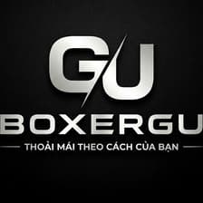 Profile picture for Boxer Gu