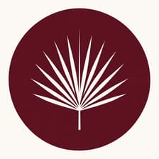 Profile picture for Aroeira Wellness