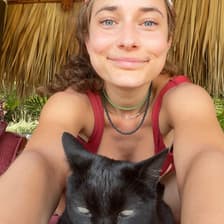 Profile picture for Lauren Schiffer