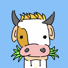 Profile picture for Jason Xu