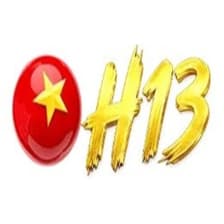 Profile picture for H13