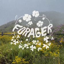 Profile picture for Victoria Steger
