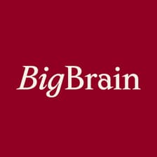 Profile picture for Big Brain Bay Area