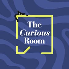 Profile picture for The Curious Room