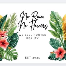 Profile picture for No Rain No Flowers