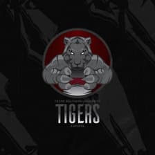 Profile picture for Tigers United Gaming