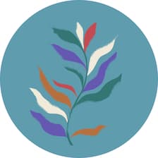 Profile picture for Climate Youth Resilience